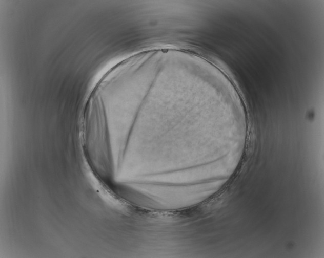 X0000115560811200912181616