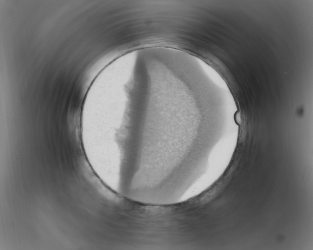 X0000115560812200912181615