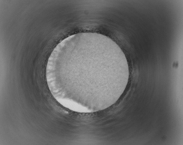 X0000115560817200912181615