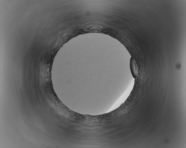 X0000115560818200912181615