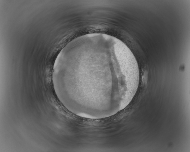 X0000115560819200912181615