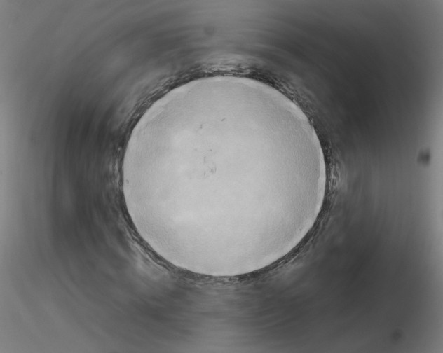 X0000115560820200912181615