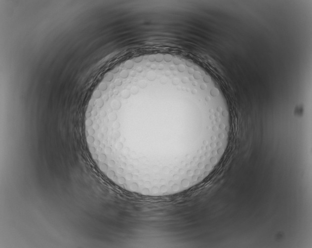 X0000115560821200912181615