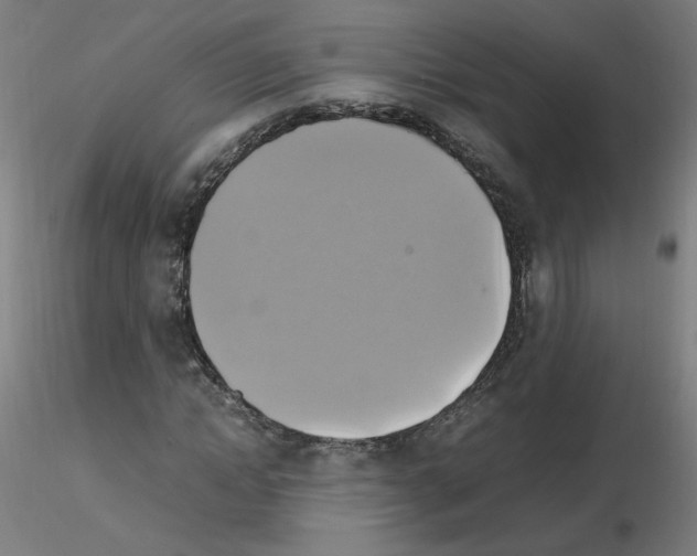 X0000115560822200912181615