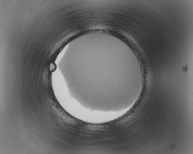 X0000115560825200912181615