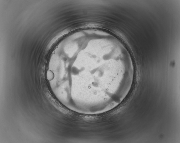 X0000115560827200912181615