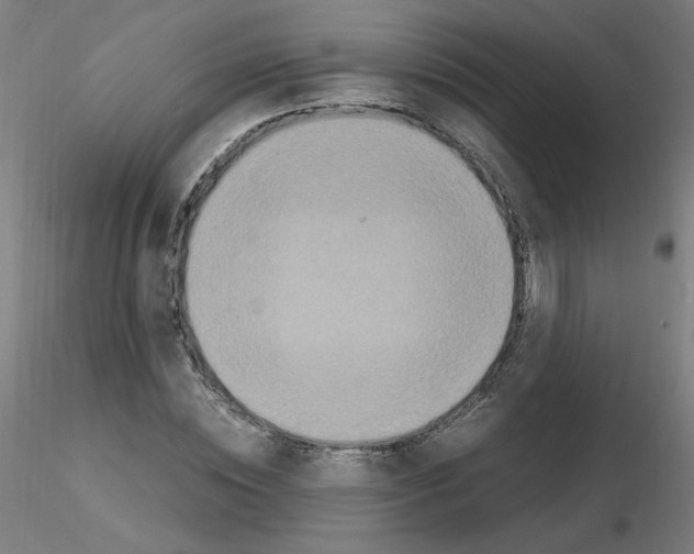 X0000115560828200912181615