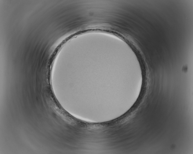 X0000115560830200912181615