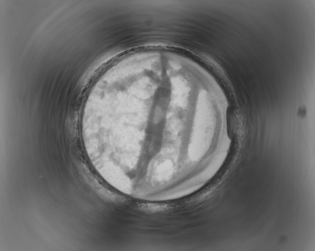 X0000115560831200912181615