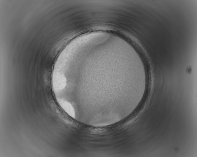 X0000115560833200912181615