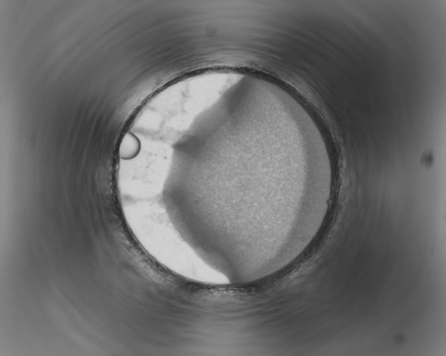 X0000115560834200912181615