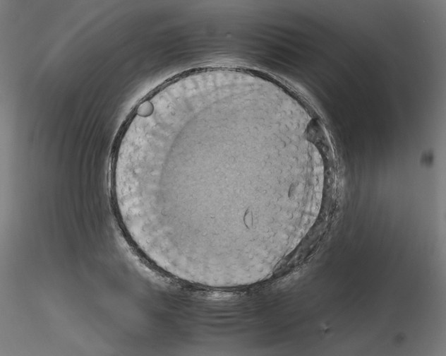 X0000115560839200912181615