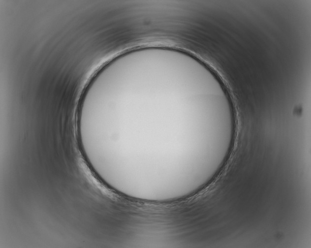 X0000115560840200912181615