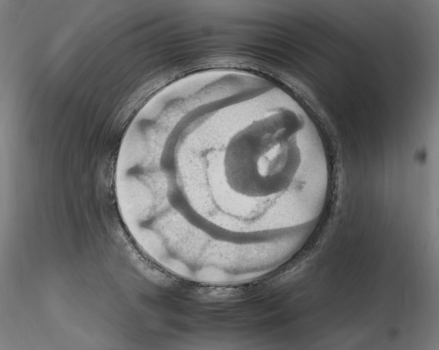 X0000115560841200912181615