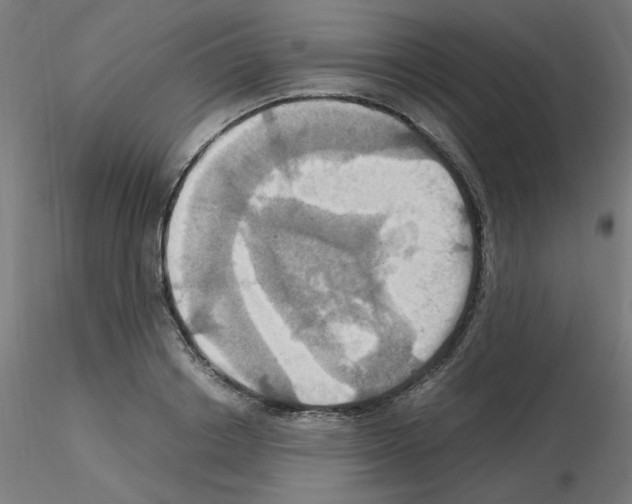 X0000115560842200912181615