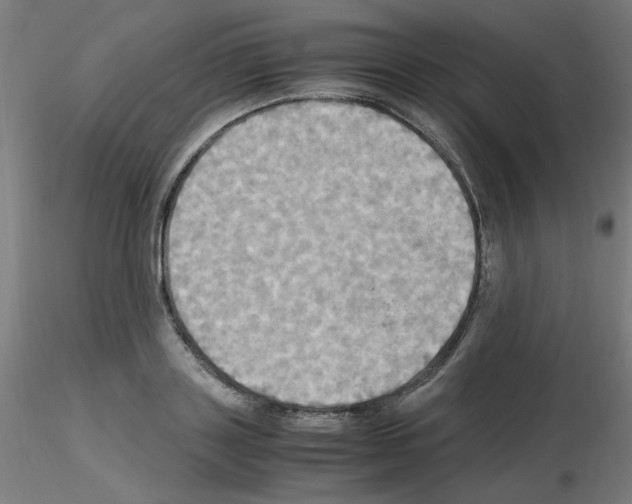 X0000115560843200912181615