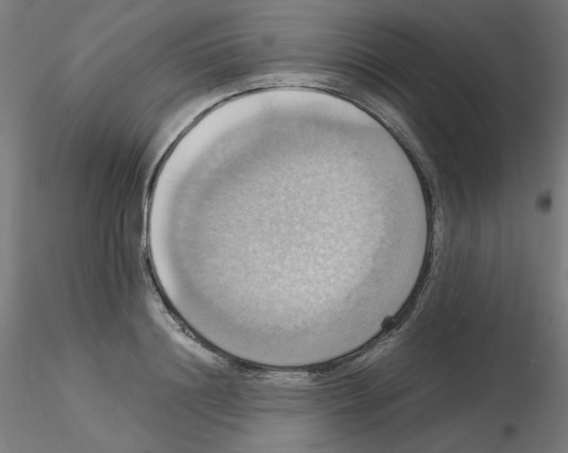 X0000115560844200912181615