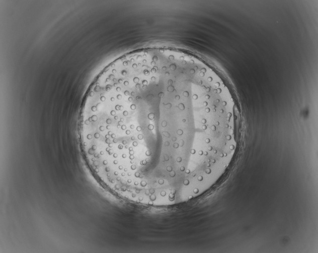 X0000115560847200912181615