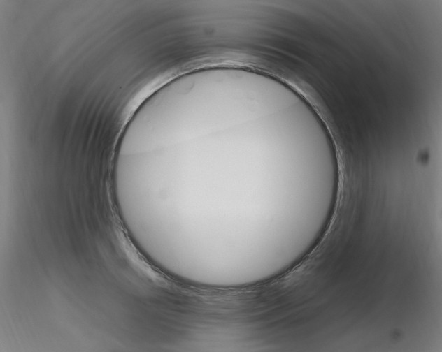 X0000115560850200912181615