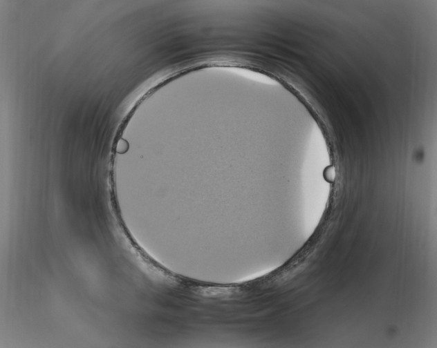 X0000115560853200912181615