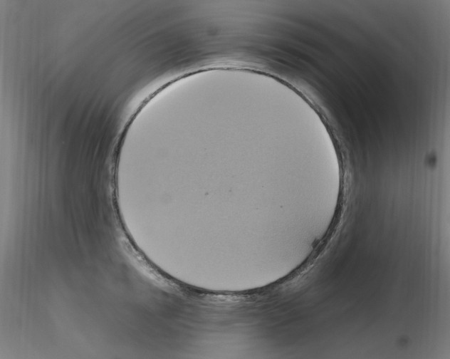 X0000115560854200912181615