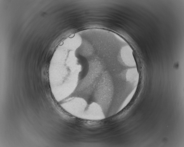 X0000115560857200912181615