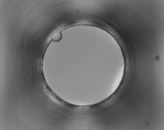 X0000115560858200912181615