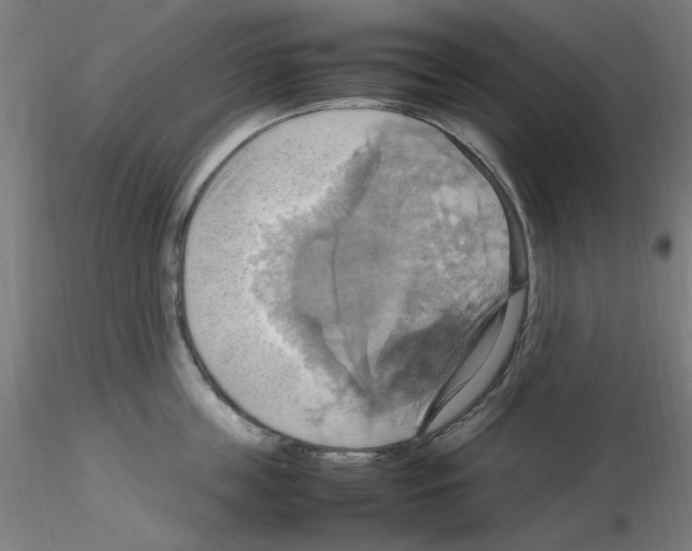 X0000115560859200912181615