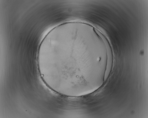 X0000115560863200912181615