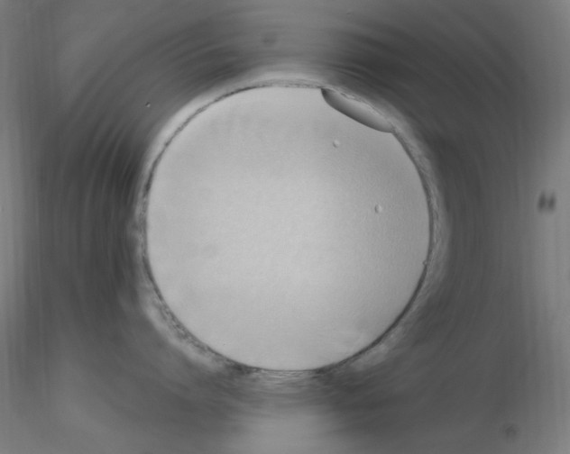 X0000115560864200912181615