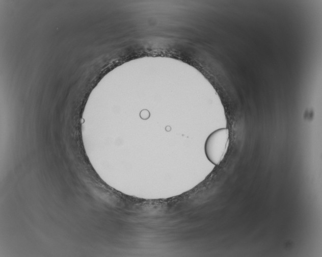 X0000115560865200912181615