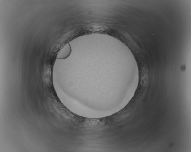 X0000115560866200912181615