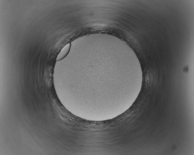 X0000115560868200912181615