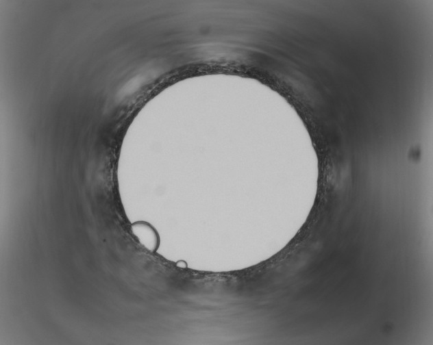 X0000115560869200912181615