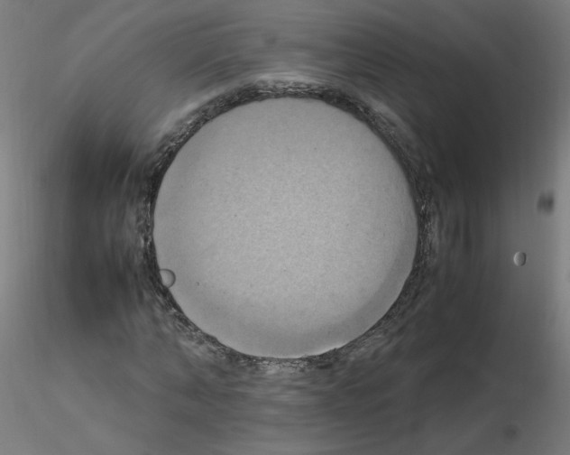 X0000115560870200912181615