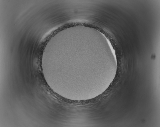 X0000115560872200912181615