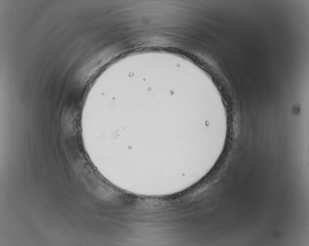 X0000115560873200912181615