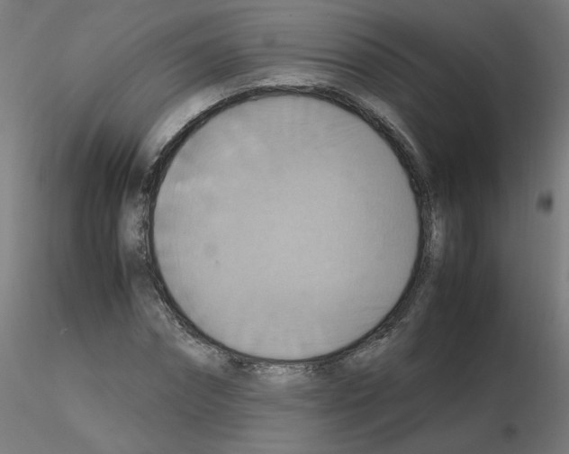 X0000115560874200912181615