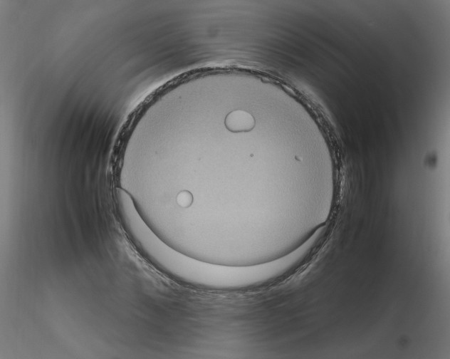 X0000115560876200912181615