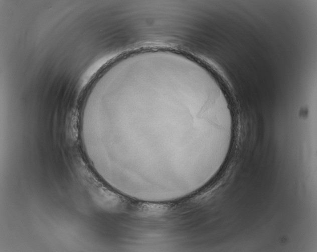 X0000115560878200912181615