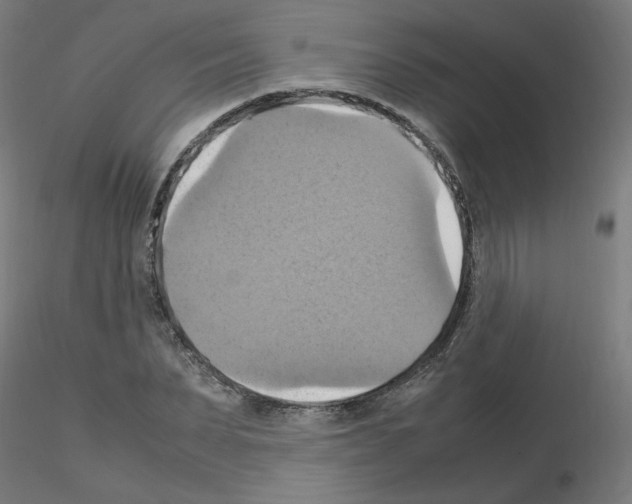 X0000115560879200912181615