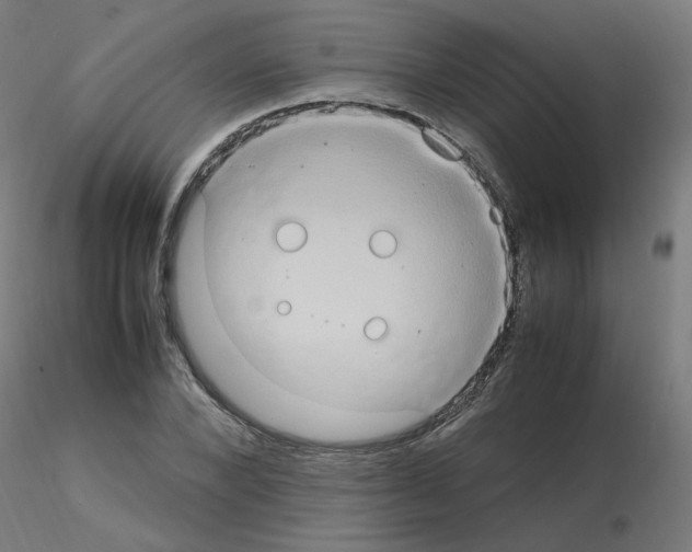 X0000115560880200912181614