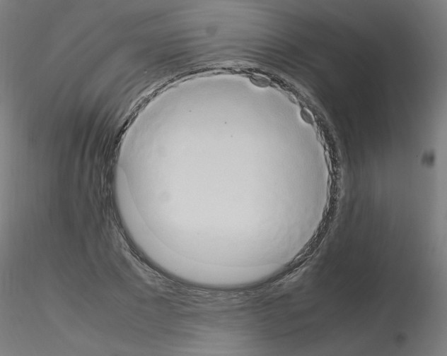 X0000115560881200912181614