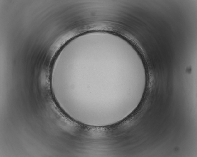 X0000115560882200912181614