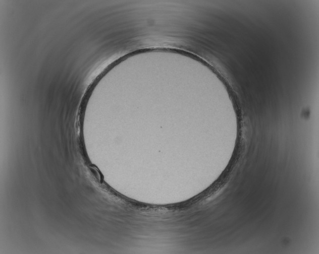 X0000115560885200912181614