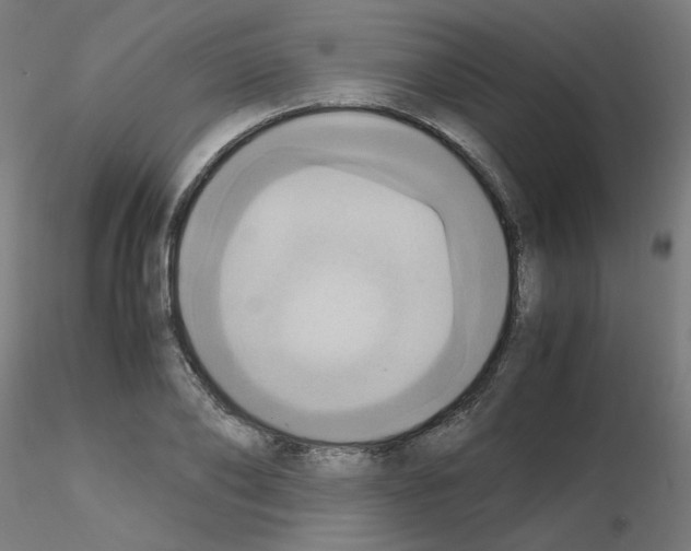 X0000115560886200912181614