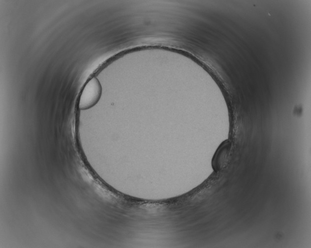 X0000115560888200912181614