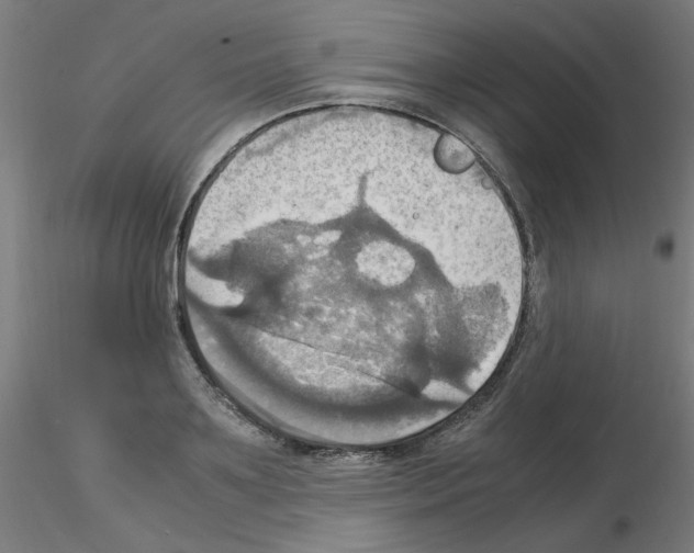 X0000115560891200912181614