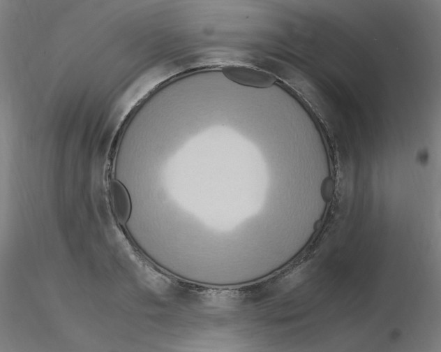 X0000115560893200912181614