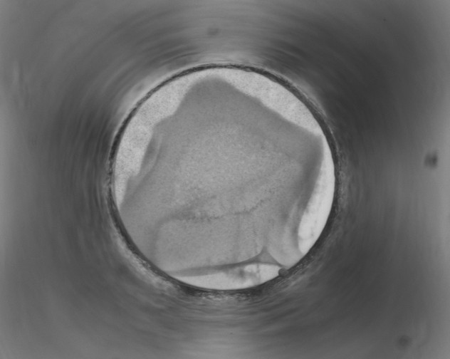 X0000115560895200912181614